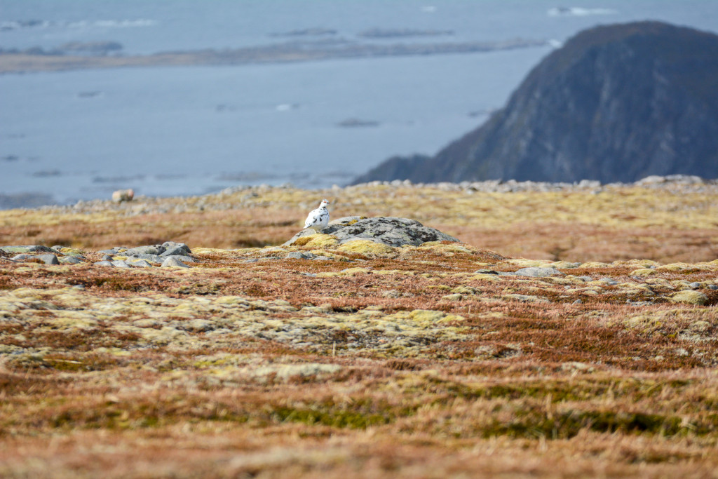 _DSC1573.jpg